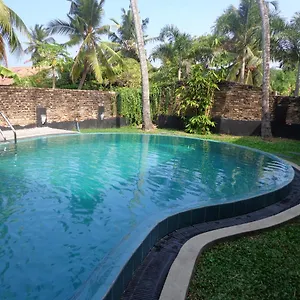 Star White - Negombo Kudapaduwa